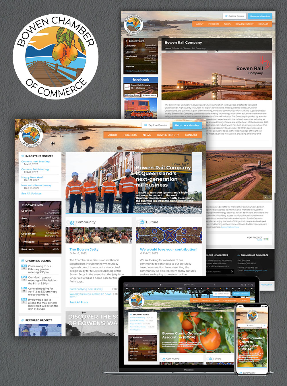 Portfolio Image